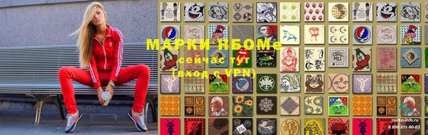 ПСИЛОЦИБИНОВЫЕ ГРИБЫ Алзамай