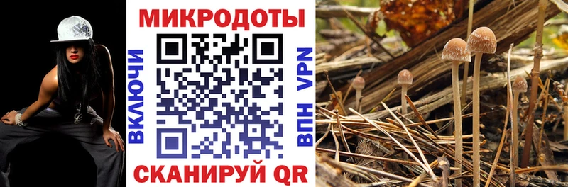 Псилоцибиновые грибы Psilocybine cubensis  наркошоп  мега как зайти  Скопин 